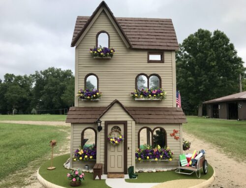 Grandpa, I Shrunk the House